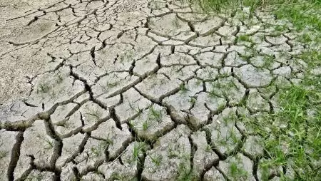 Aggodalomra ad okot az Európa nagy részén tomboló aszály