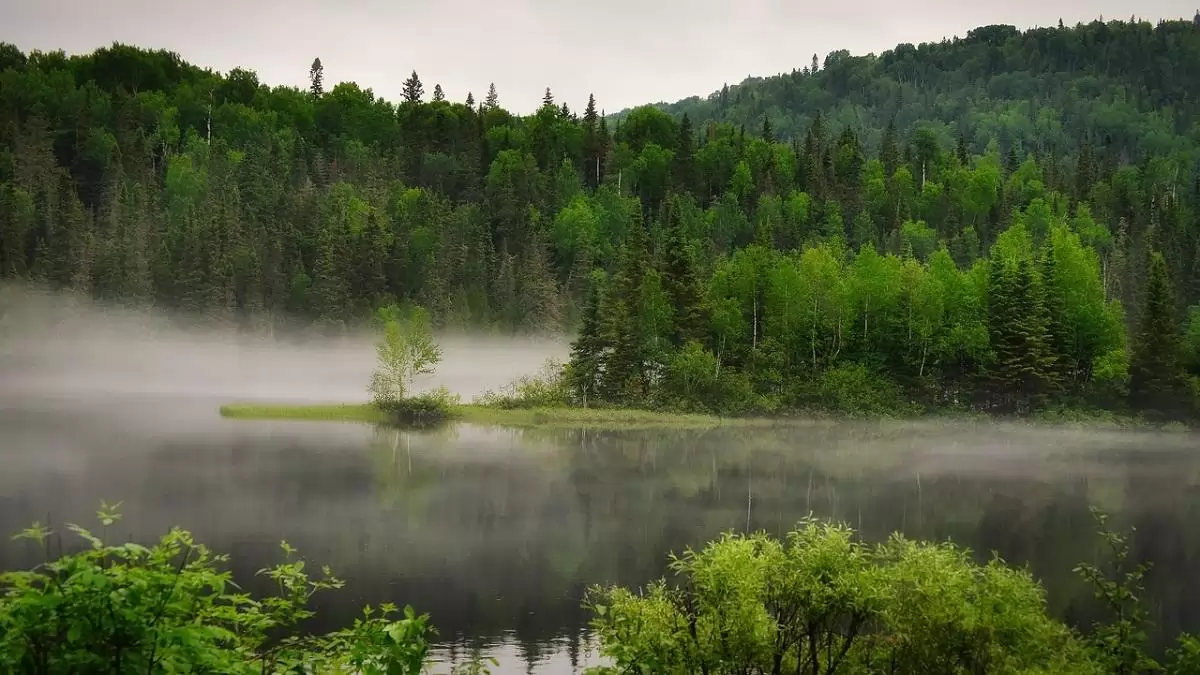 Ma a biológiai sokféleség napjára figyel a világ