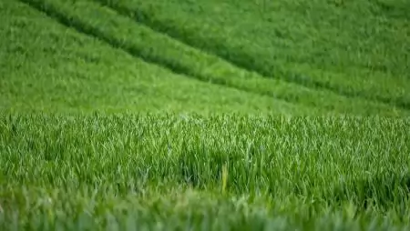 Idén is elindultak a határszemle ellenőrzések