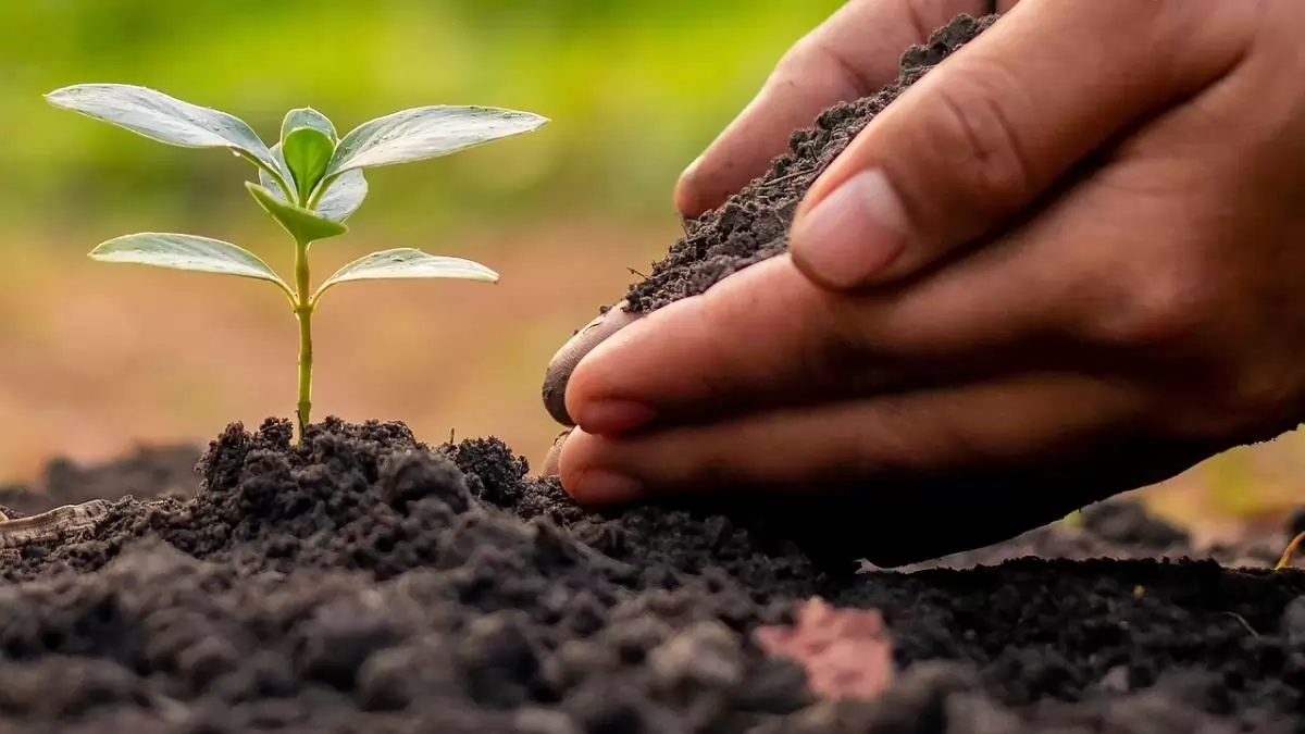 A károsítók elleni védekezésre hívja fel a figyelmet a Nébih a Növényegészségügy Nemzetközi Napja alkalmából
