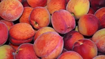 jó őszibaracktermésre számítanak Katalóniában 