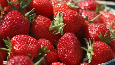 A hazai és az import szamóca ára is emelkedett