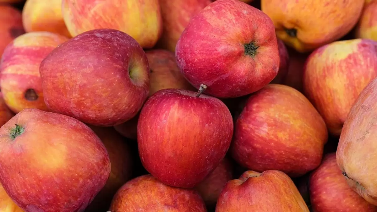 Elapadtak a tavalyi almakészletek, az idei tételekre pedig még várni kell