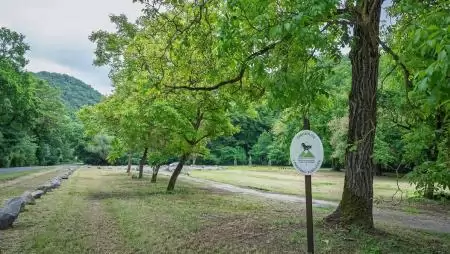 Megújult a barátkúti pihenőhely a pilisi parkerdőben – a MOL  Új-európa Alapítvány támogatásával