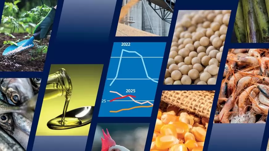 FAO Élelmiszer-kilátások: A kulcsfontosságú élelmiszeripari termények globális termelése új rekordok felé halad