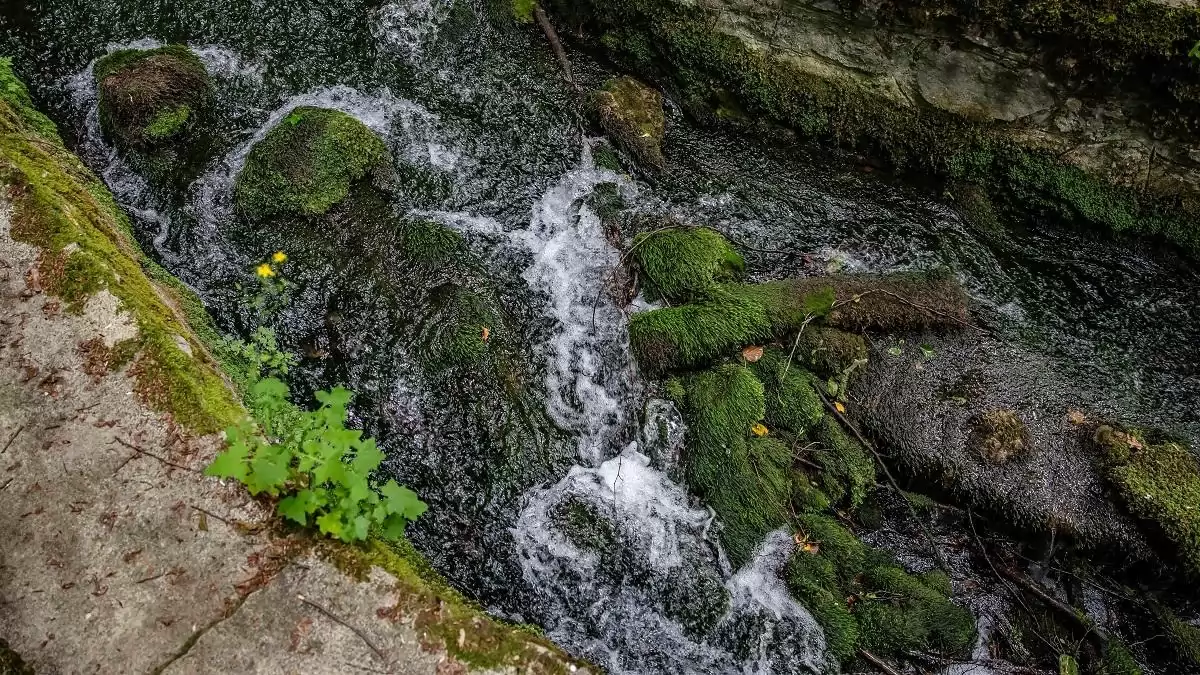 Széleskörű támogatásokkal fejlődnek Aggtelek meglévő vizes élőhelyei