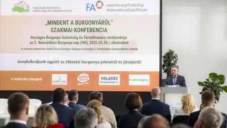 Stratégiai cél, hogy hazánk a burgonyatermesztés területén önellátóvá váljon