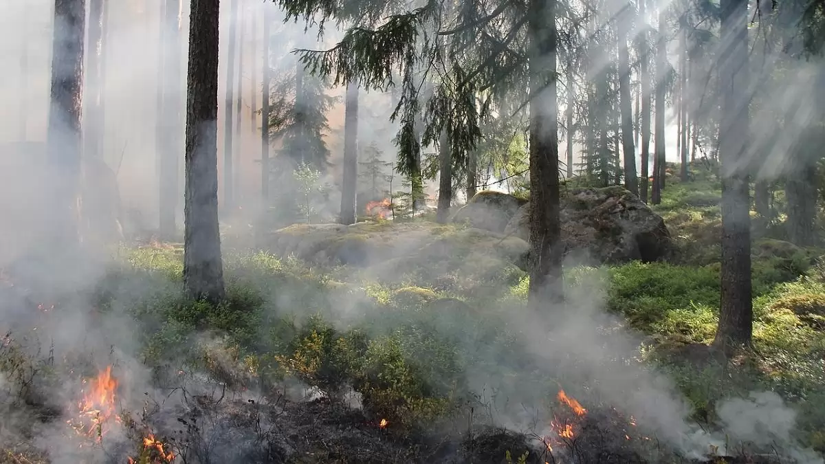 Tűzgyújtási tilalom két vármegyében