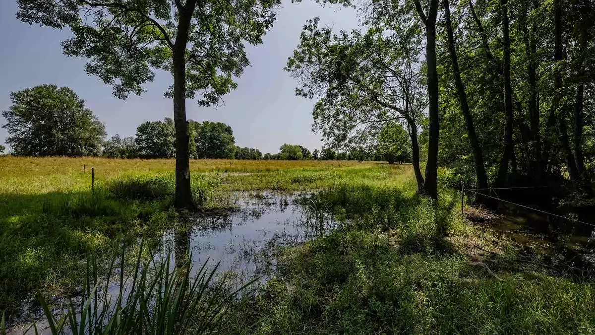 Nagyszabású fejlesztés kezdődött a Boronka-melléki Tájvédelmi Körzetben 