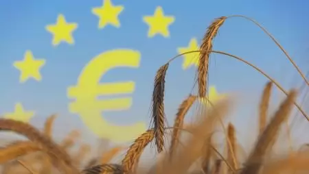 Fekete szerda, vagy jövőbemutató reform?