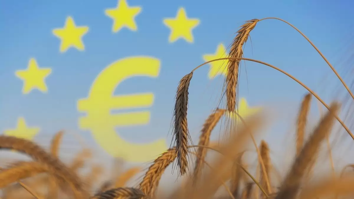 Fekete szerda, vagy jövőbemutató reform?