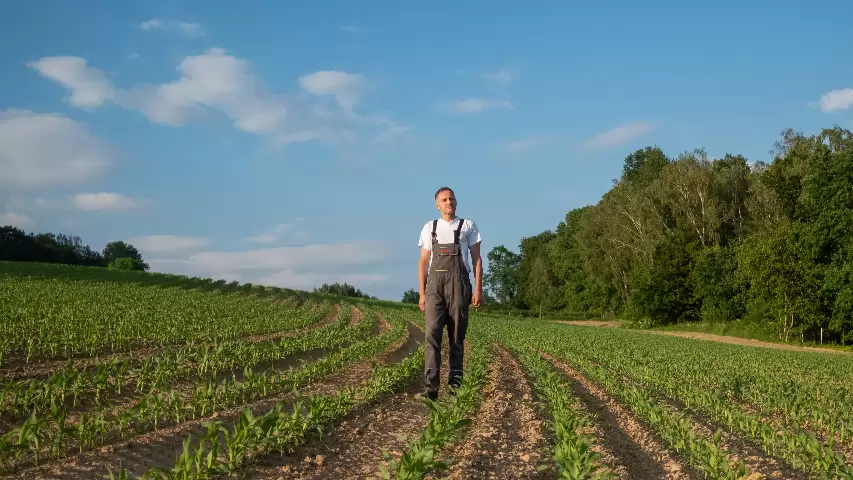 KAP: az európai politikusok megvédik a gazdák zsebét