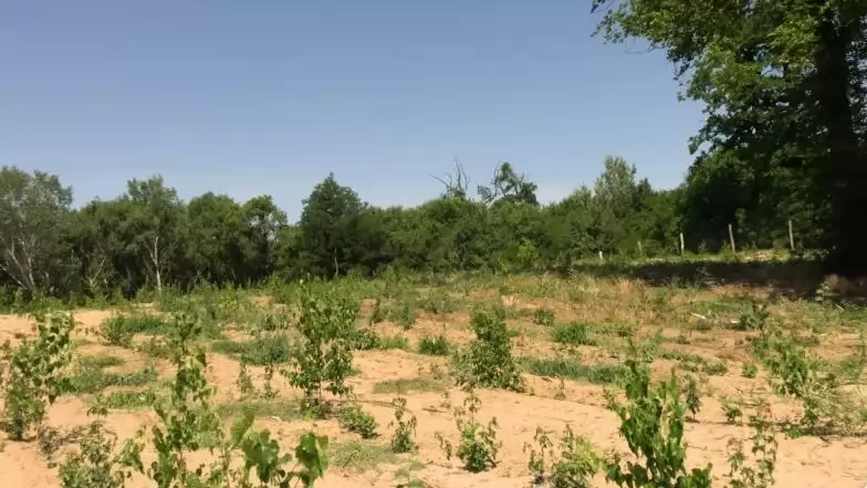 A WWF által is díjazott állami erdőgazdálkodók célja az erdők megőrzése, gyarapítása és megújítása