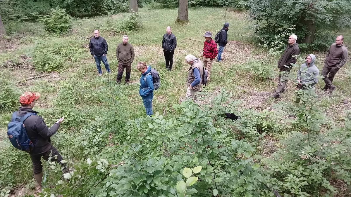 Lakossági séták az erdőben: közelebb kerültünk a Péterhalmi-erdő jövőjéhez