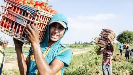 A fiatalok helyzete az agrár-élelmiszeripari rendszerekben – Az új FAO-jelentés rávilágít az 1,3 milliárd fiatal buktatóira és kilátásaira