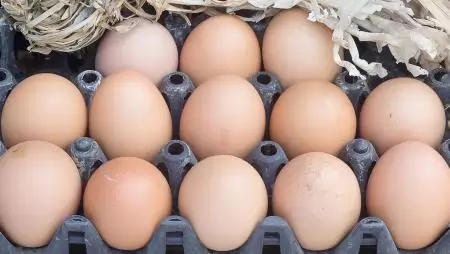 30 százalékkal drágult az étkezési tojás az év első felében