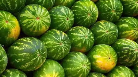 Élénkült a görögdinnye külkereskedelme
