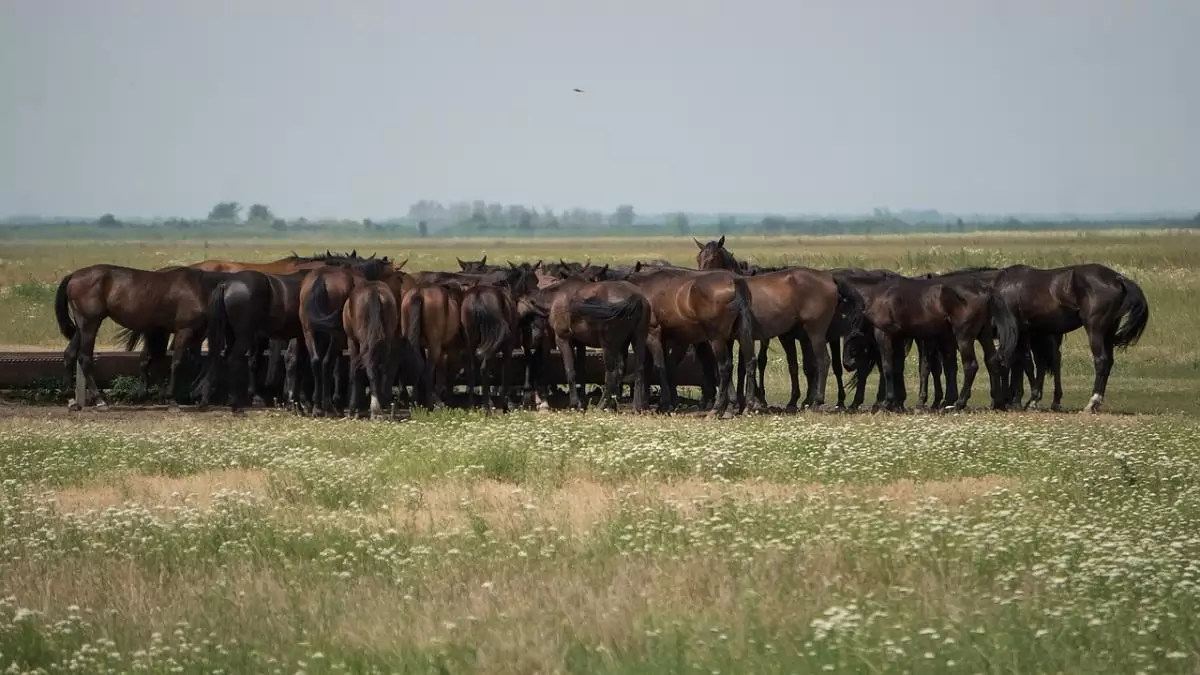 Új projekt indul a szemléletformálás érdekében – egy lépéssel közelebb a természethez