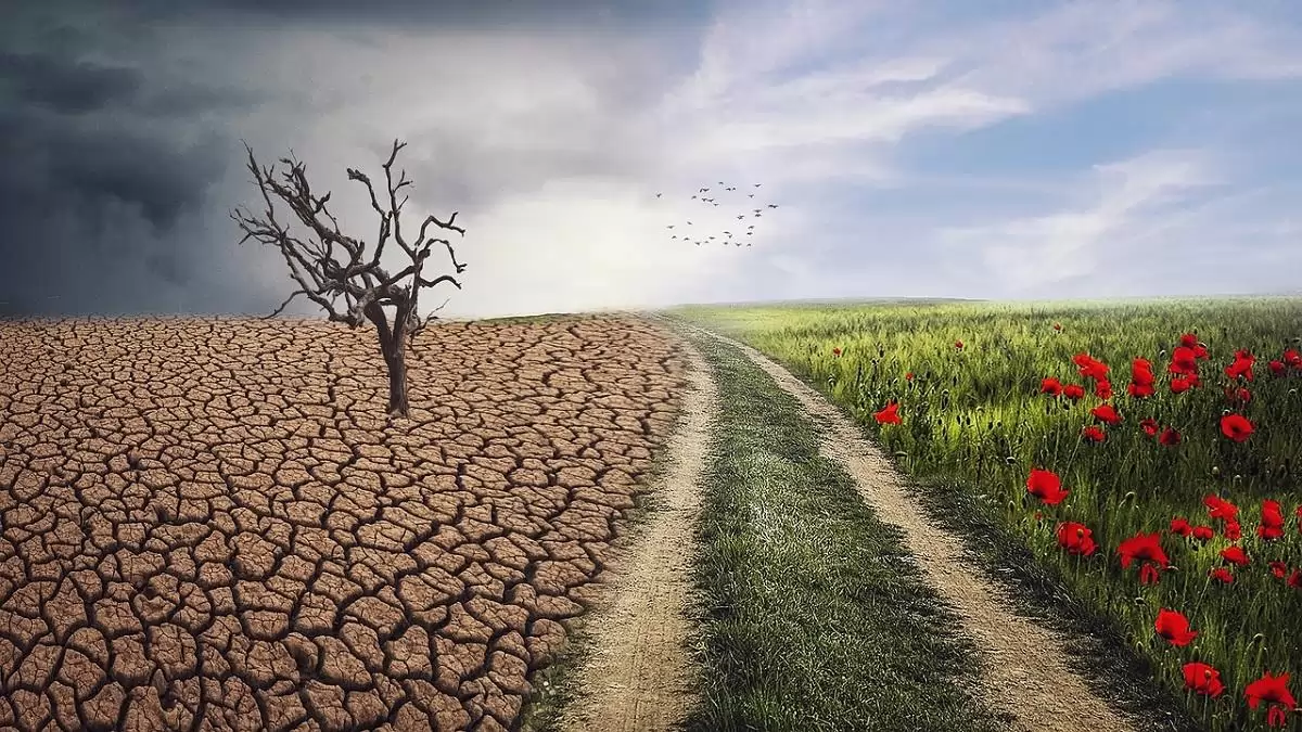 Egyre gyakoribbak a szélsőséges időjárási viszonyok – ideje komolyan venniük a gazdáknak is