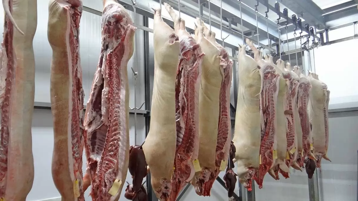 Elkötelezett a kormány a hazai feldolgozóüzemek támogatása mellett