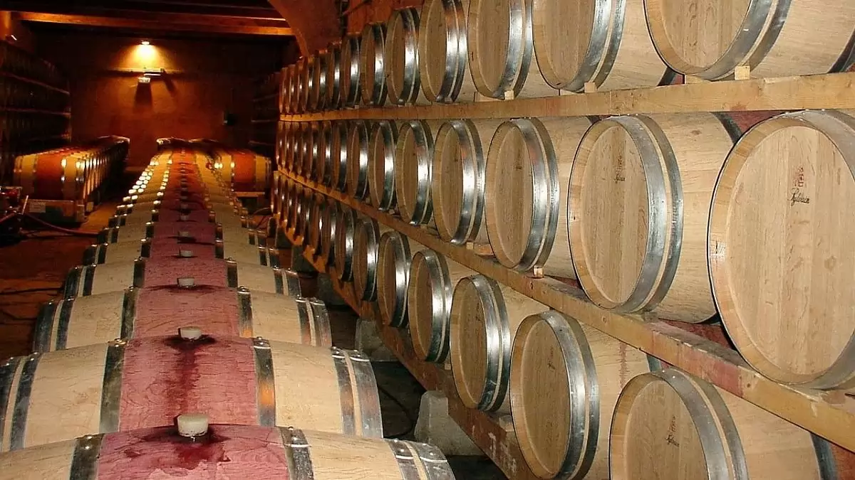 Fokozott figyelem a pincékben ‒ a mustgáz komoly veszélyt jelenthet