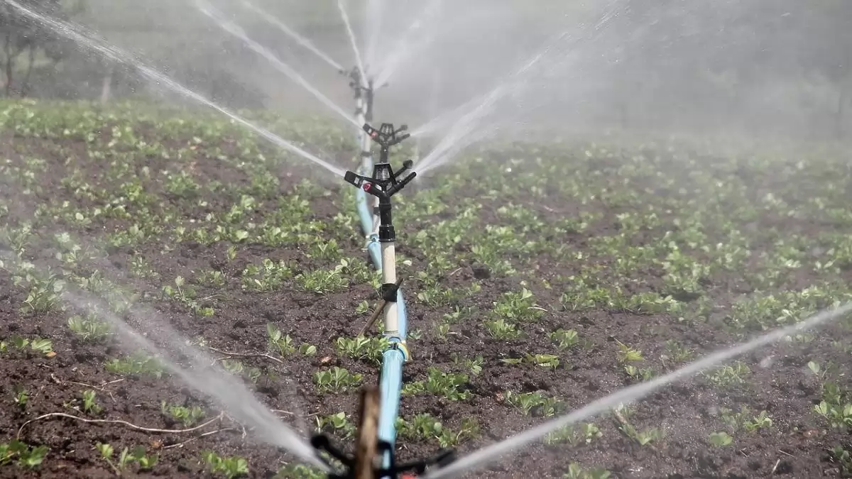 Ősszel indul az öntözésfejlesztési pályázatok kérelembenyújtásának következő köre