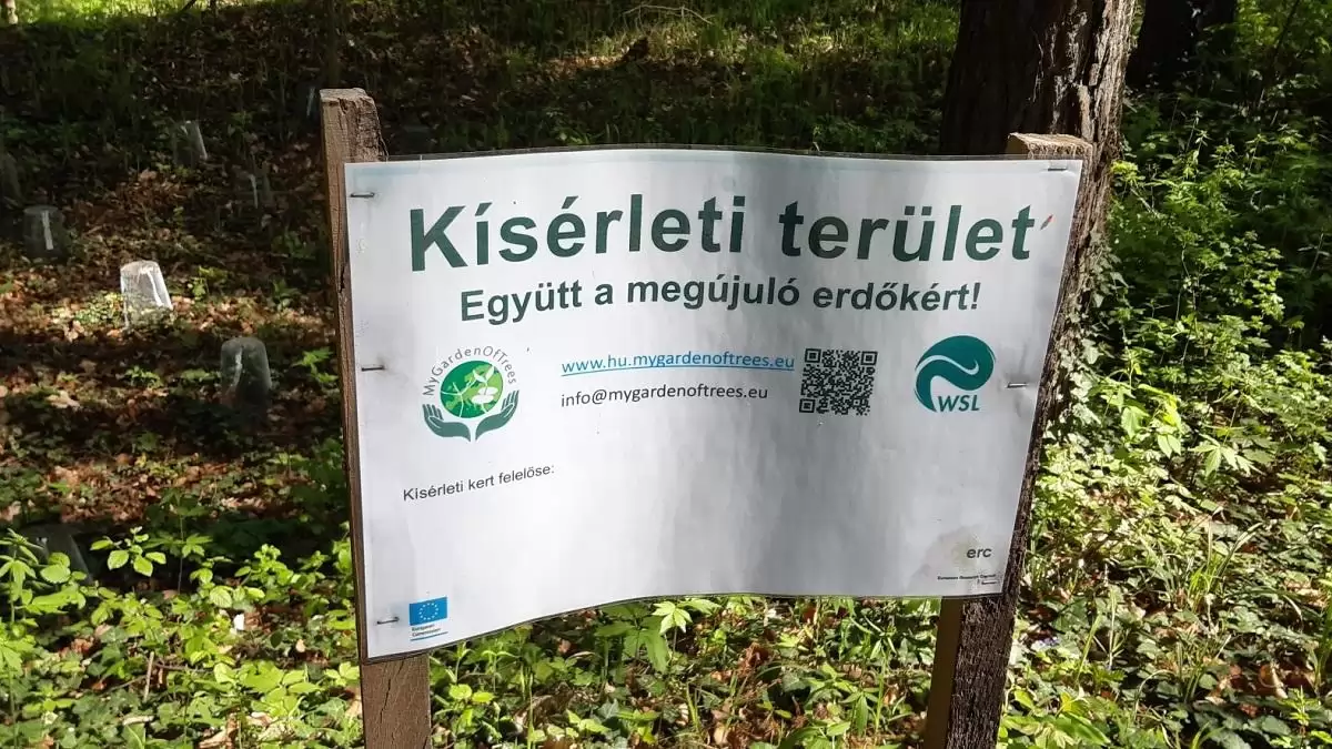 A Pilisi Parkerdő az erdők jövőjét kutató európai programhoz csatlakozott