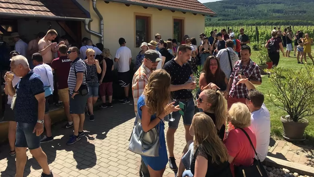 Indul a Nyitott Porta Napok 2025 – Kóstolj bele tájról-tájra!