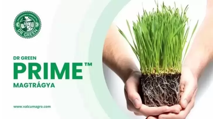 Csökkentené a műtrágya mennyiségét? – Indítsa őszi gabonái fejlődését a DR GREEN PRIME magtrágyával!