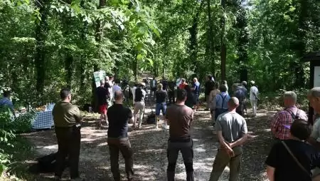 Zöld jövő Kőbányán: új lendületet kap a fővárosi erdőmegújítás – elindult a varosierdo.parkerdo.hu