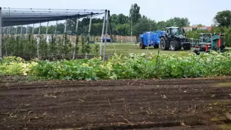 Világszínvonalú bemutatóüzemi fejlesztés Pallagon