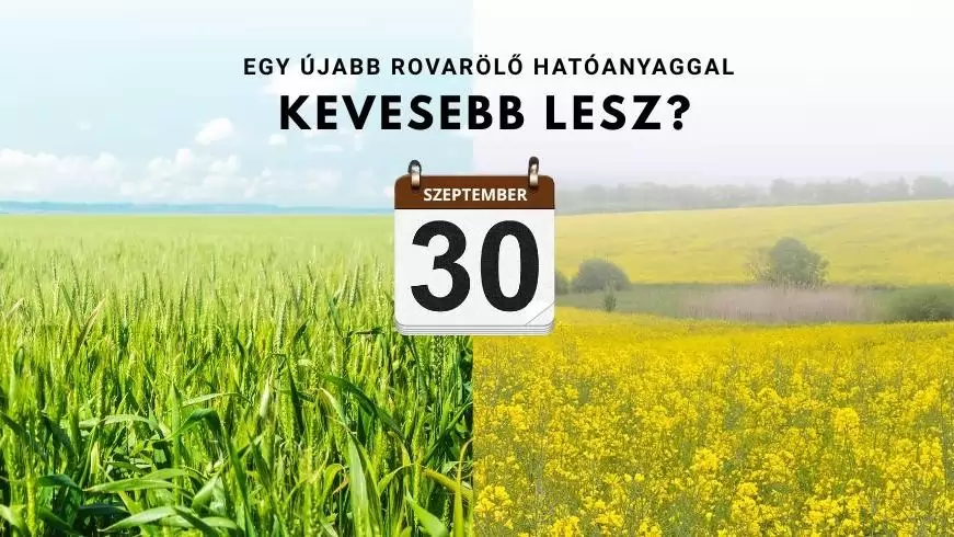 Egy újabb rovarölő hatóanyaggal kevesebb lesz? Most még beszerezheti!