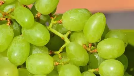 Jelentősen nő a fogyasztói igény a csemegeszőlő iránt 