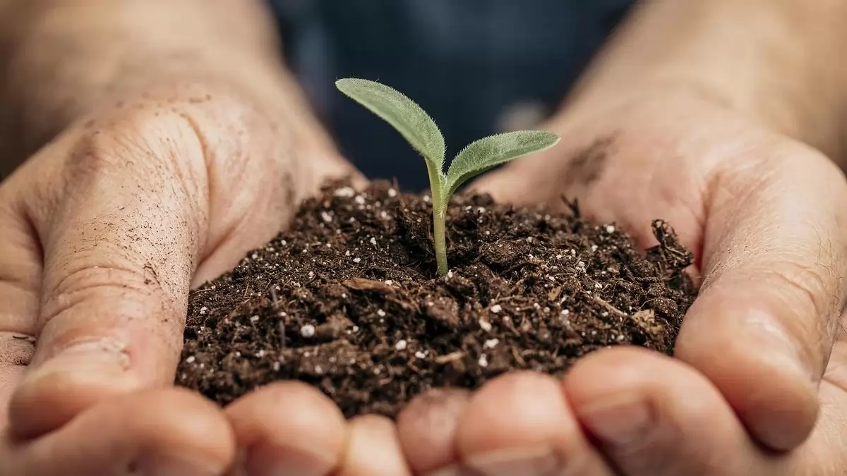 Figyeljünk a vetőmagot segítő mikrobákra (is) az őszi gabona vetésekor!