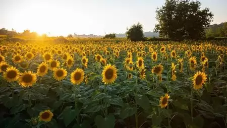 Újabb könnyítéssel segíti a fenntartható gazdálkodást az Agrárminisztérium
