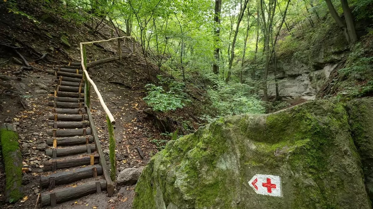Megújult a Holdvilág-árok – a természetjárók kedvelt szurdoka biztonságosabban, természetközelibb módon várja a látogatókat