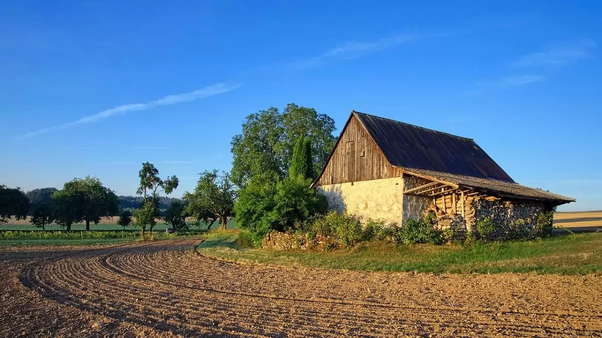 A tanyafejlesztési pályázatokat is ingyenesen készítik el a NAK falugazdász-tanácsadói