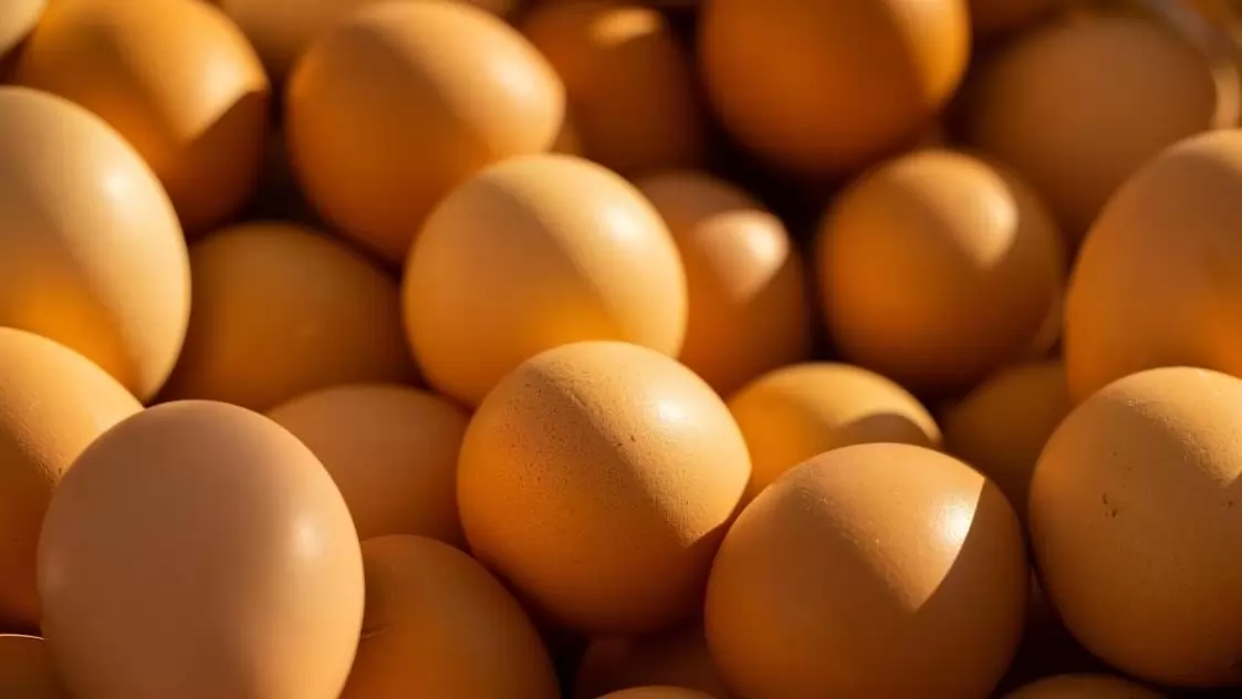 Jelentősen nőttek a hazai tojás csomagolóhelyi árai