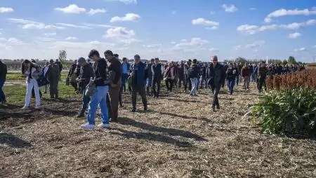 Iránymutatás a tonnákban mérhető pluszterméshez: gazdaságos megoldások a KITE őszi szántóföldi bemutatóján 