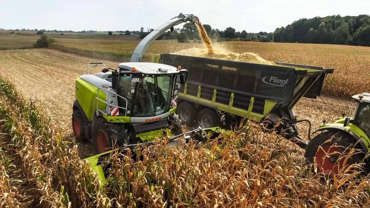 Valós idejű vágókés-élesség asszisztens érkezett a Claas Jaguar 900 silózóba