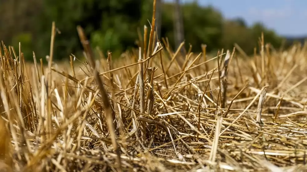 Elindult a Nagy Diák Agrárteszt 5. a MATE szakmai támogatásával