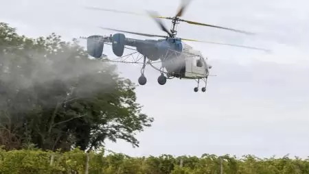 Befejeződött az őszi légi permetezés a szőlő aranyszínű sárgaság megfékezéséért