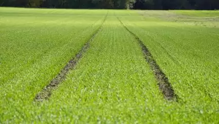 Újabb nemzetközi díj a ProPlanta rendszernek - FAO-elismerésben részesül a magyar tápanyag-gazdálkodási szoftver