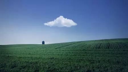 EU mezőgazdaság 2040: nincs könnyű megoldás a környezeti és társadalmi-gazdasági szempontokra