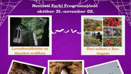 Nemzeti Park hétvégi programajánló 