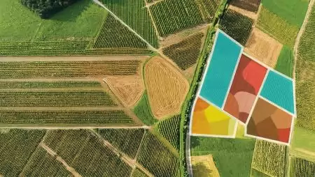 Digitális átállás könnyedén? Frissen végzett precíziós mezőgazdasági szakmérnökeink segítenek a gazdáknak! 