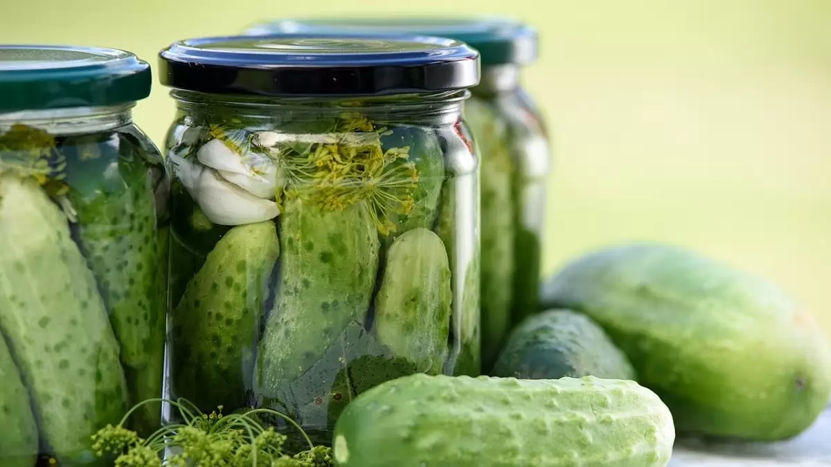 Savanyú, de biztonságos – A Nébih élelmiszerbiztonsági tanácsai házi fermentáláshoz