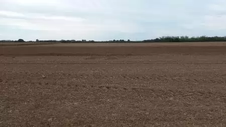 Ekolive: egy zöldebb jövő megteremtése a semmiből