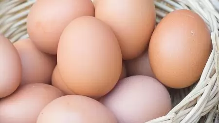 Hogyan tároljuk a tojást? – Hasznos tanácsok a Nébih-től