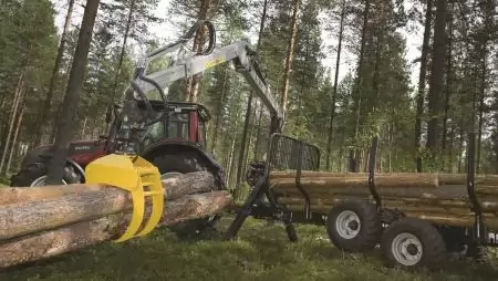 Valtrák az erdőgazdálkodásban